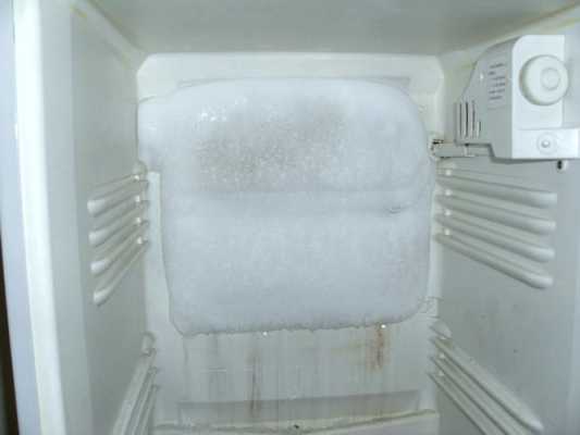 海尔智能冰箱冻坏菜（海尔冰箱冷藏把菜冻死了）-图1